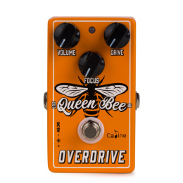 Caline Queen Bee Overdrive Efekt Gitara Elektryczna