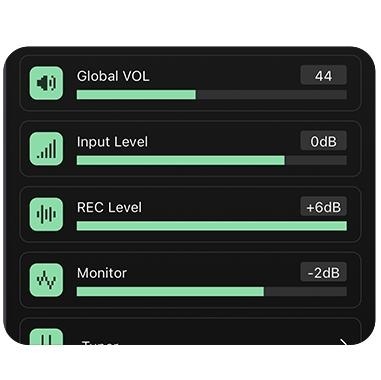 DIVITONE MF Studio WA ( Whisky Ash ) Smart Modelling Gitara Elektryczna